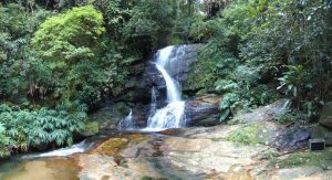 parque nacional Tijuca